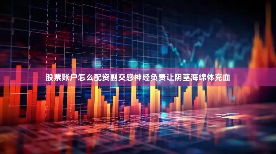 股票账户怎么配资副交感神经负责让阴茎海绵体充血