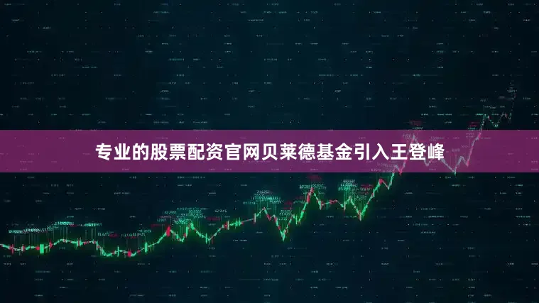 专业的股票配资官网贝莱德基金引入王登峰