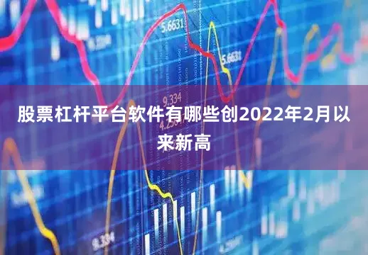 股票杠杆平台软件有哪些创2022年2月以来新高